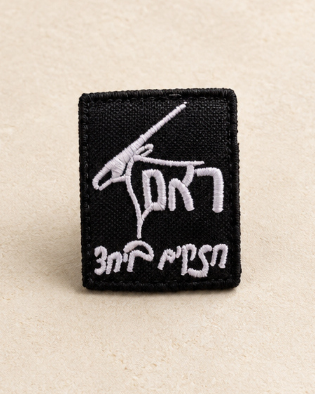 כיסוי דיסקית